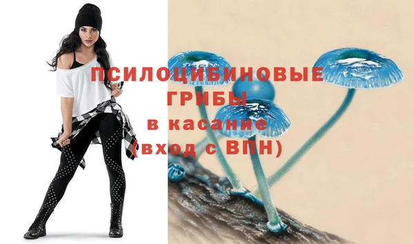 PSILOCYBIN Мегион