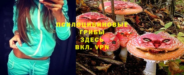 PSILOCYBIN Мегион