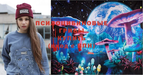 метадон Каменногорск