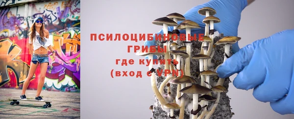 PSILOCYBIN Мегион