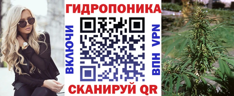 сайты даркнета Telegram  где продают   Козельск  Марихуана сатива 